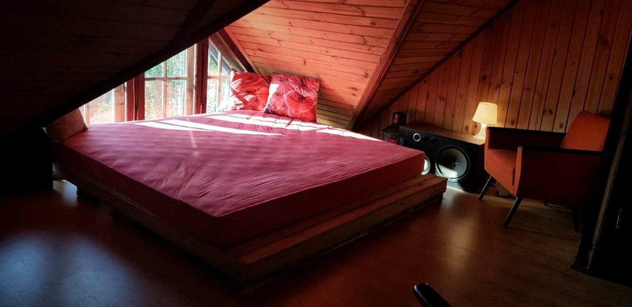 Kuleszowka Na Kaszubach Z Balia Ogrodowa Villa Gowidlino